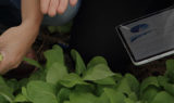 Digital and precision agriculture